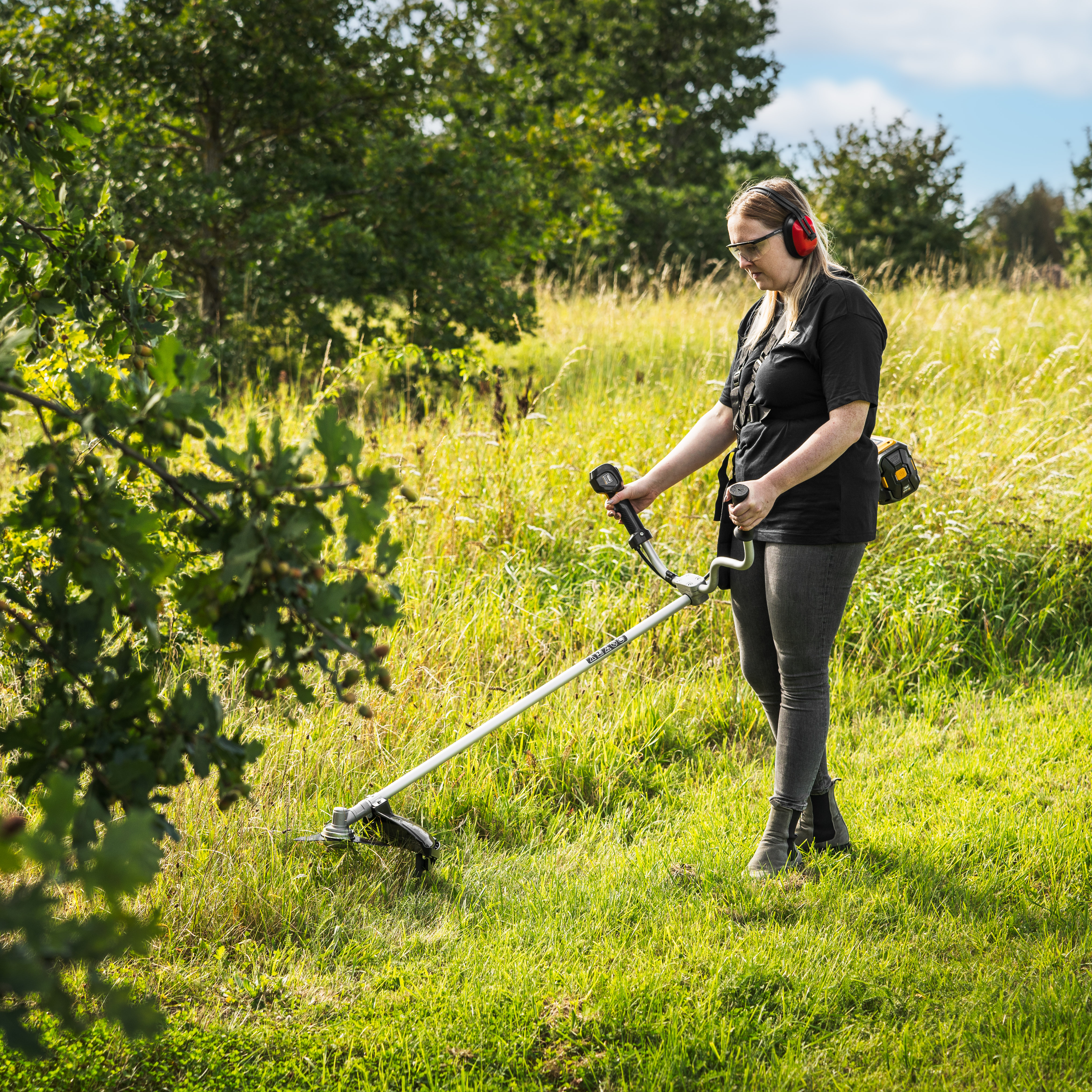 Texas Akku Motorsense BCZ 5800
