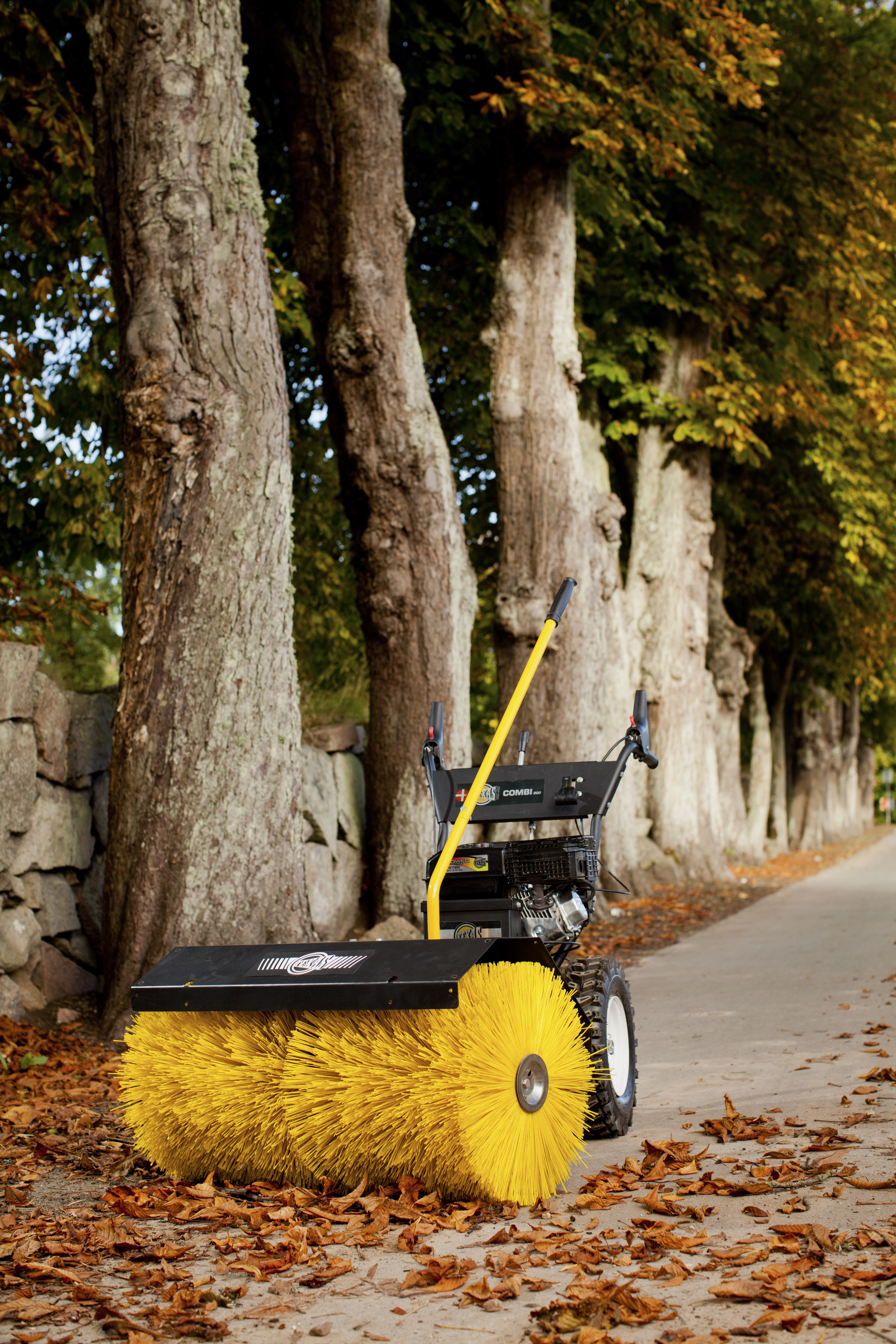 Texas Kehrbürste Combi 800