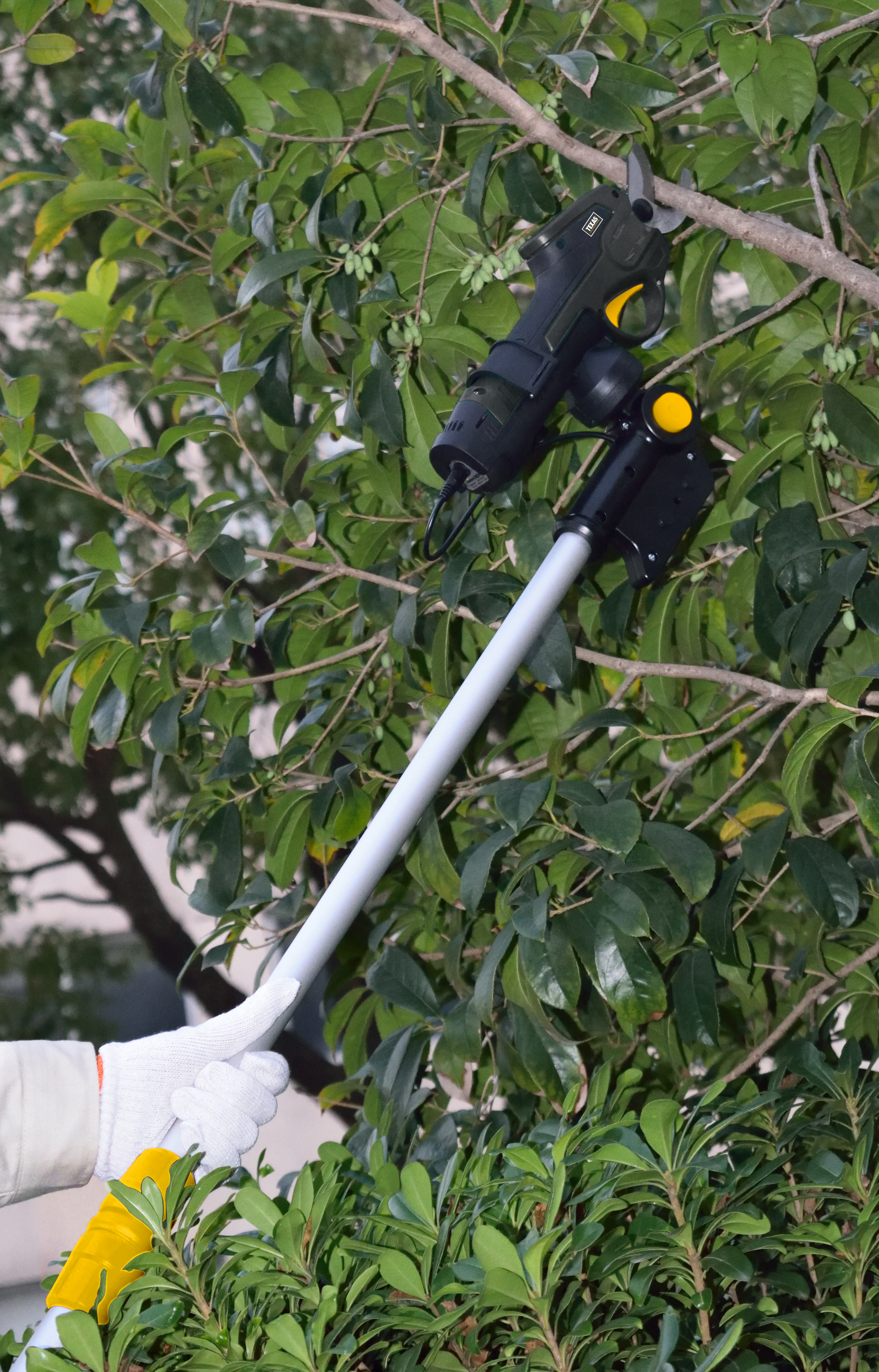 Texas Gartenschere GS725Li mit Teleskop Verlängerung