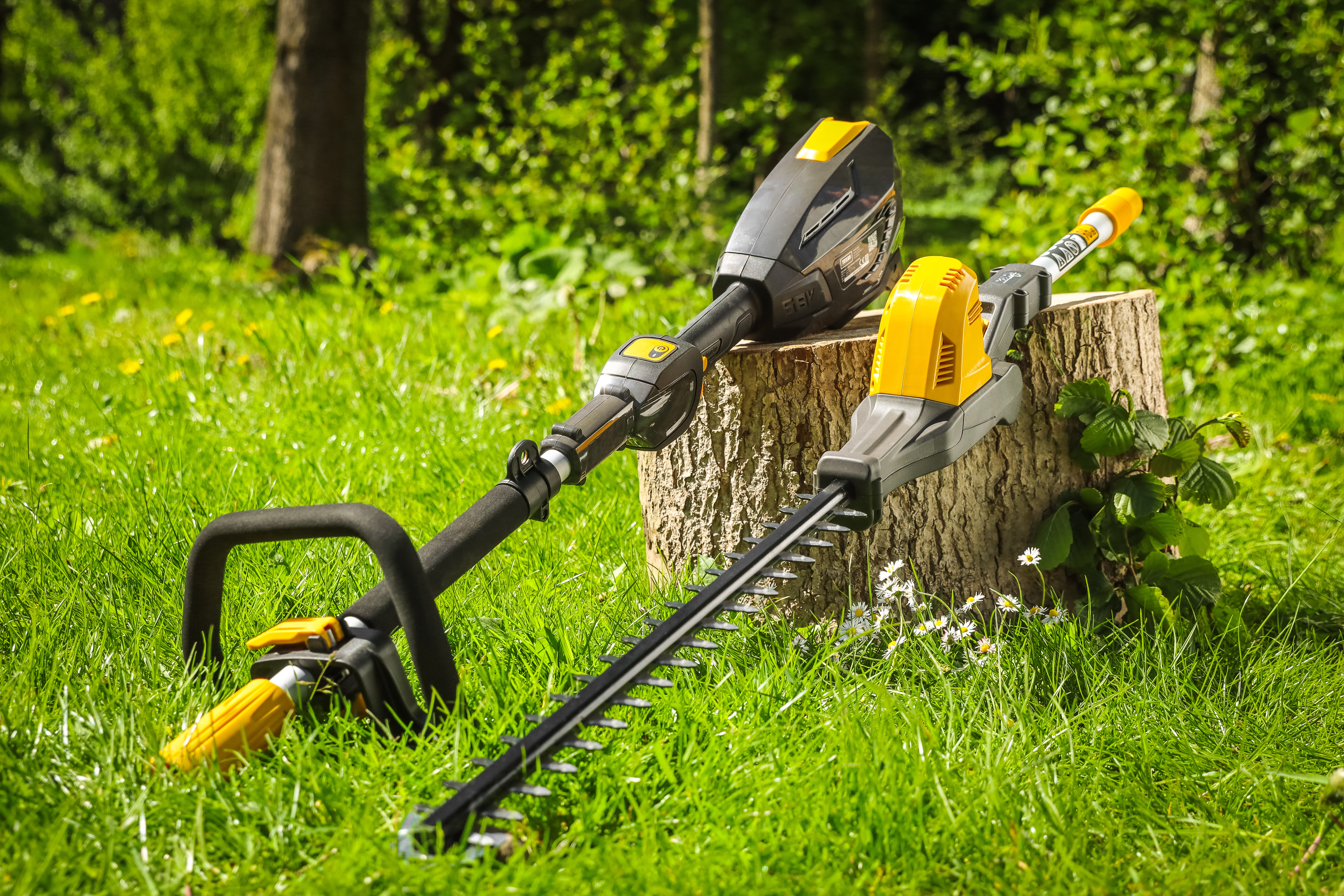 Texas Akku Teleskopheckenschere PHZ 5800