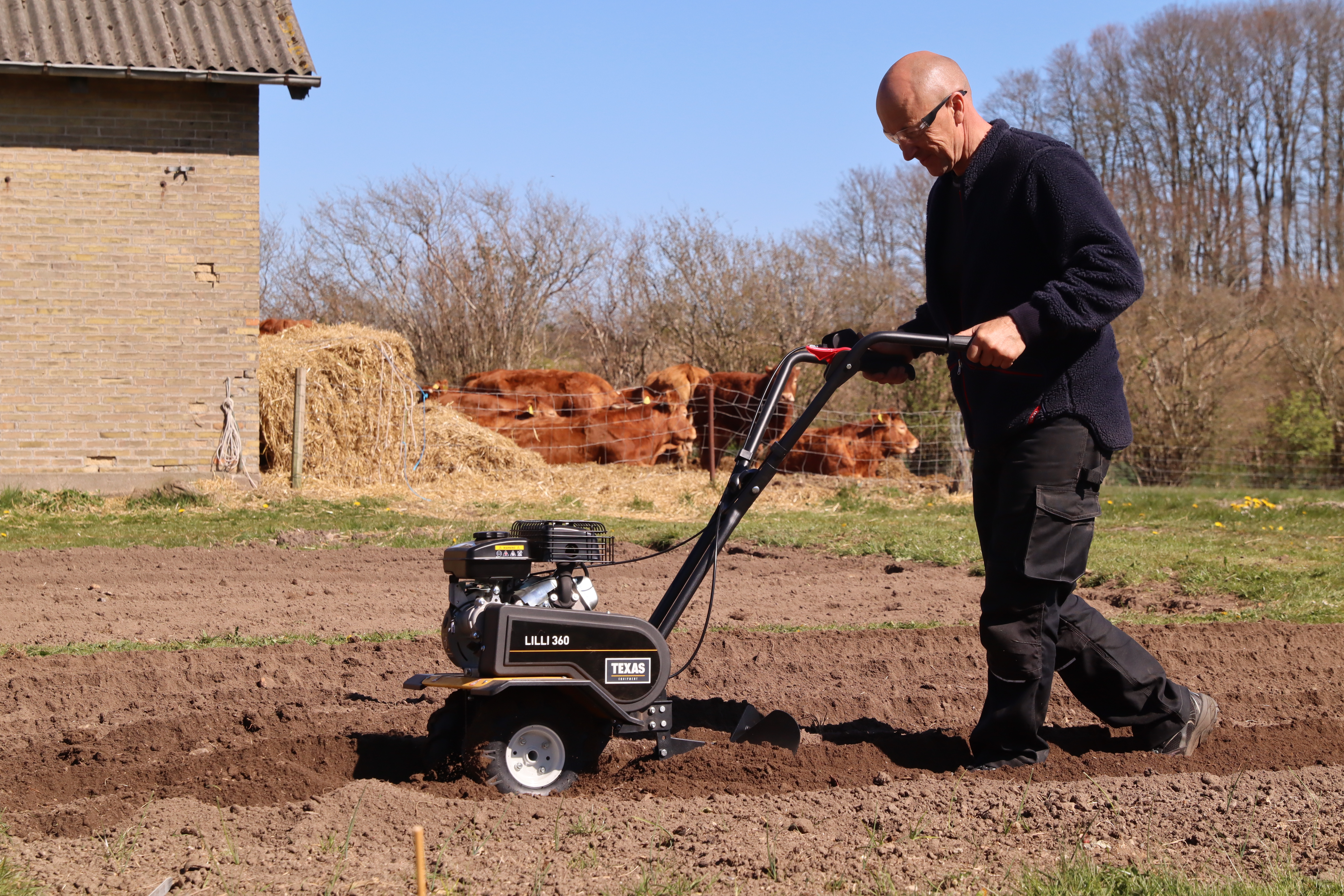 Texas Häufelkörper