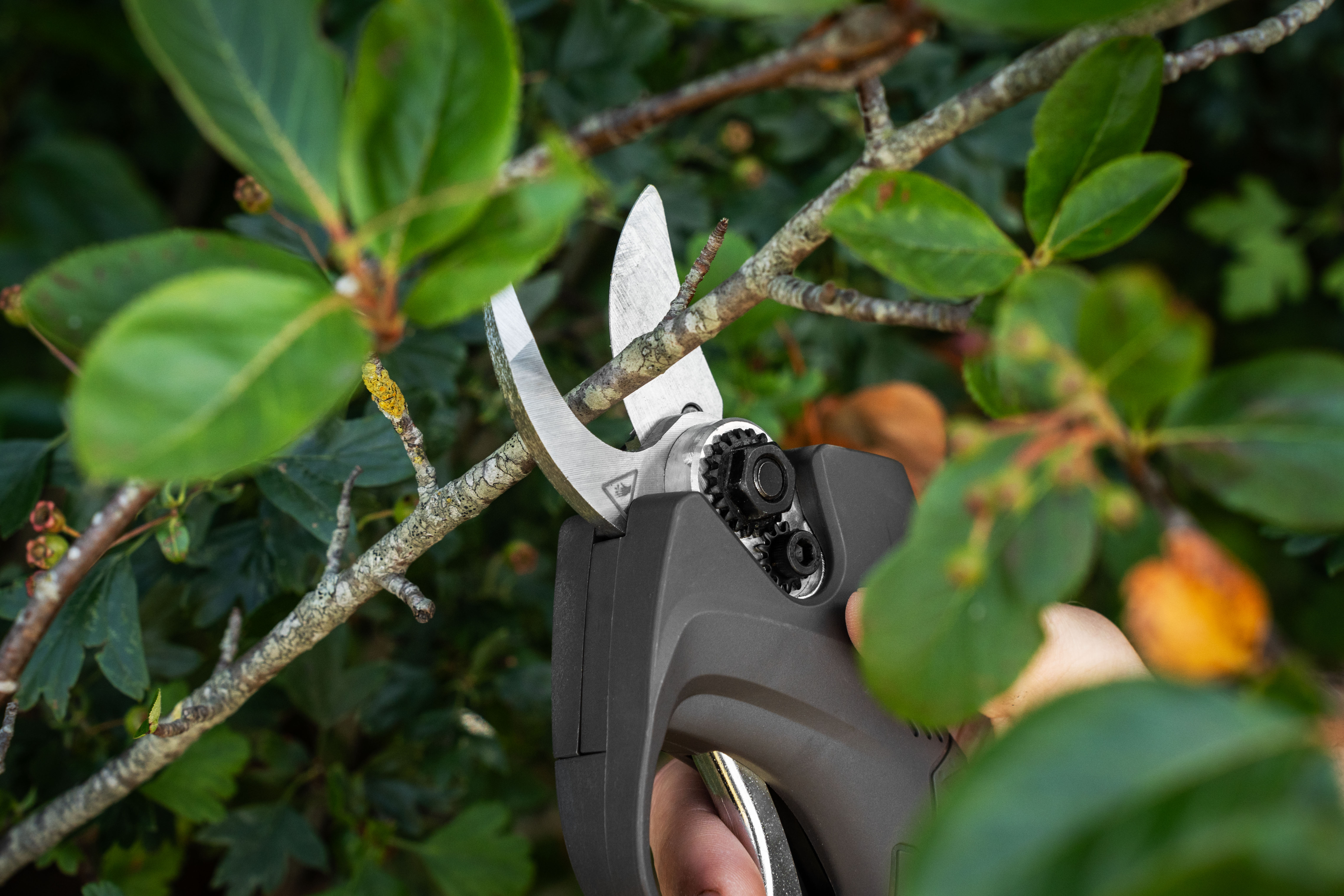 Texas Gartenschere GS1680Li Astschere (incl. Akku & Ladegerät)