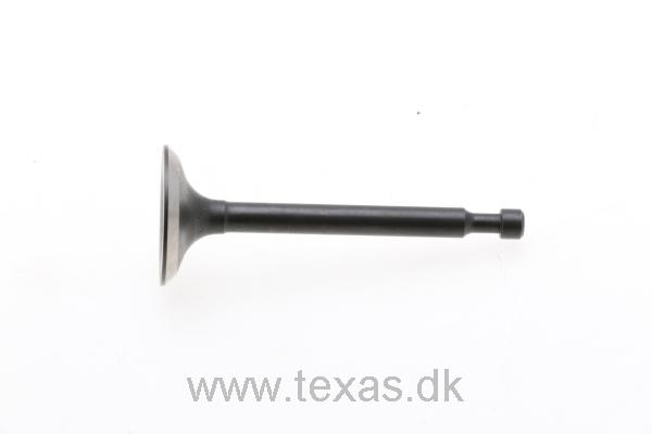 Texas Einlassventil