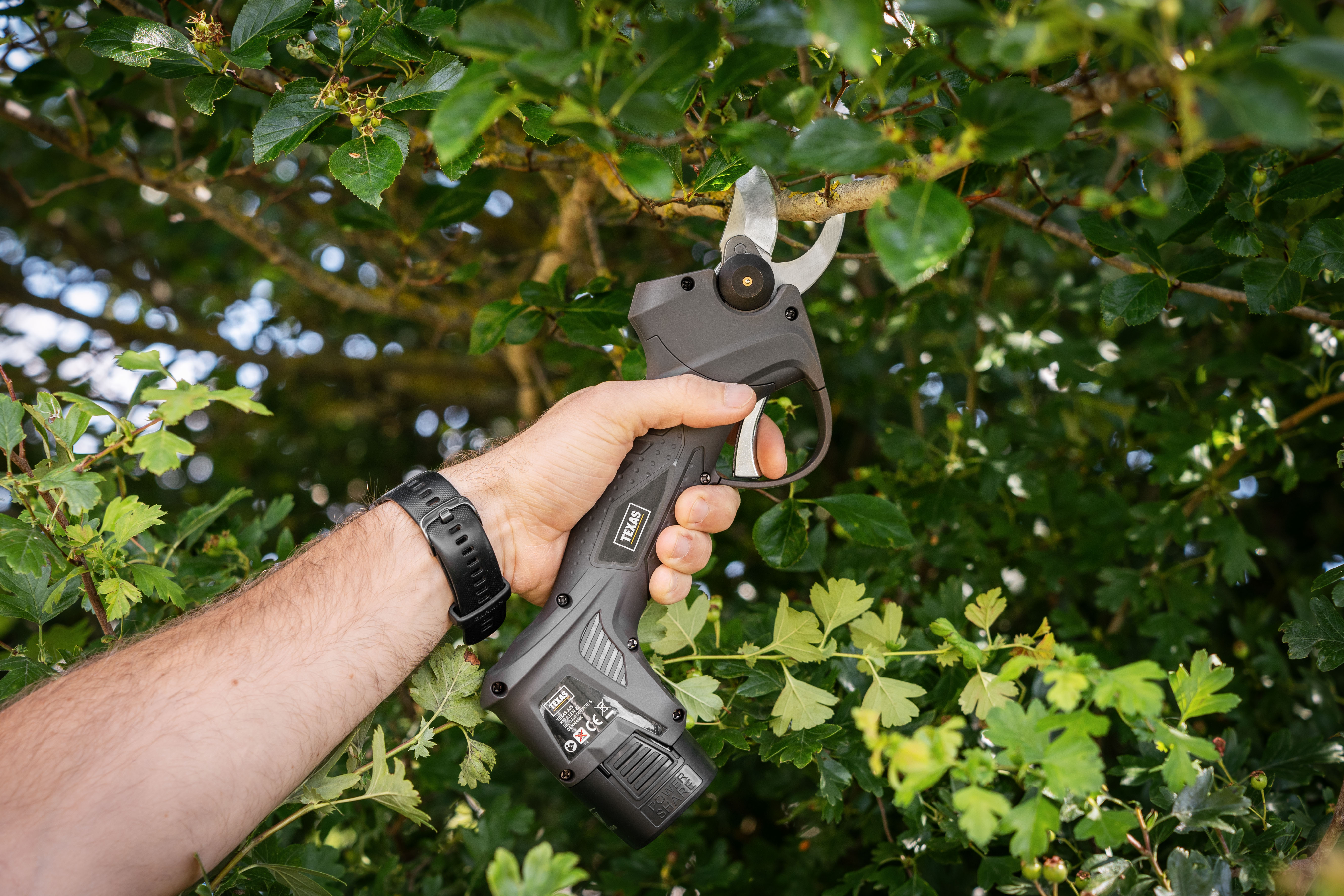 Texas Gartenschere GS1680Li Astschere (incl. Akku & Ladegerät)