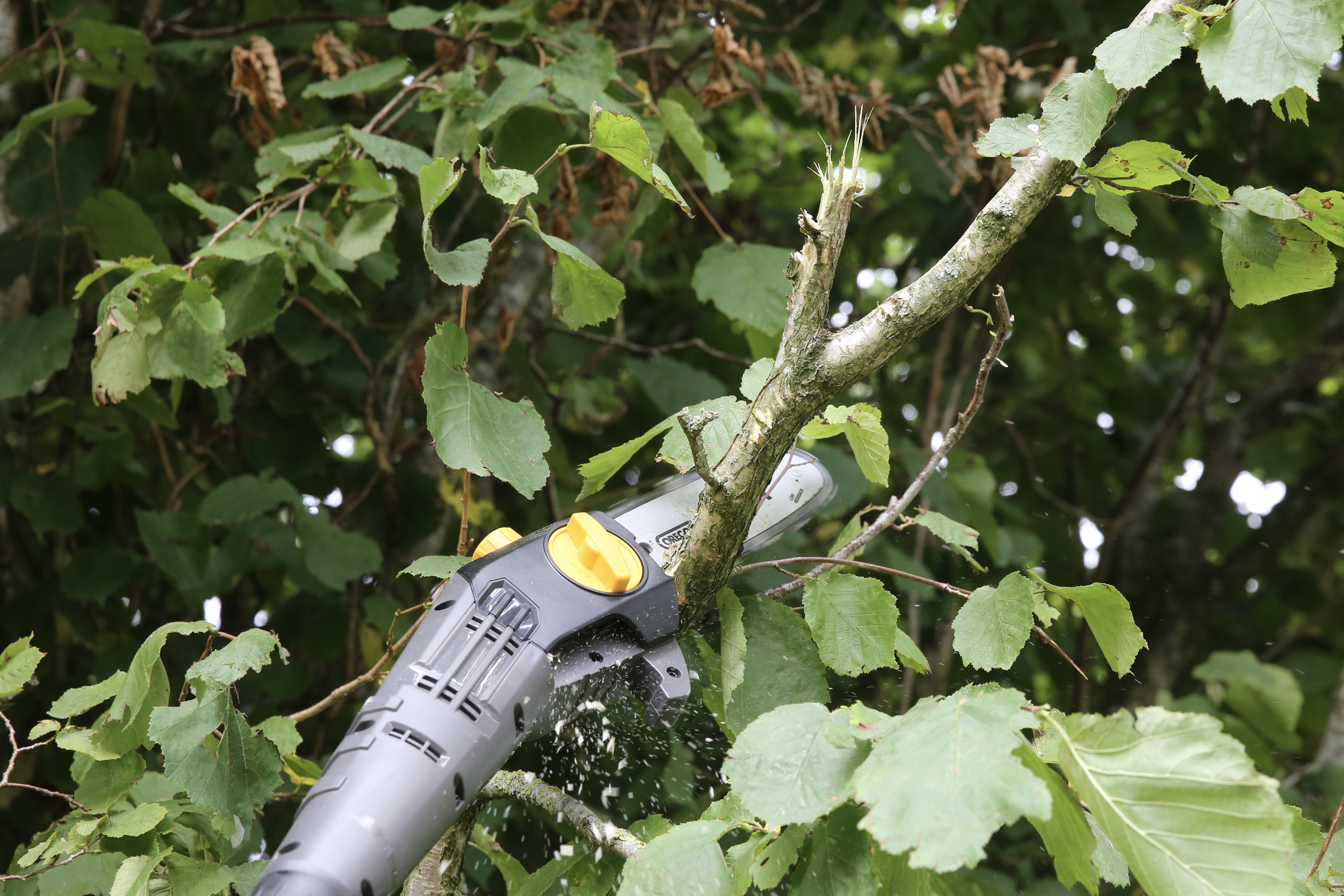 Texas Heckenschneider PHX/PCX2000 2-in-1 (20V) mit Akku+Ladegerät